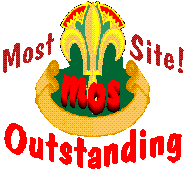 Most Outstanding Site